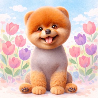 Логотип @pomgranate_alopecia - ALOPECIA