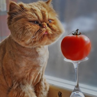 Логотип @pomidorka_drafts - Солнце светит всем