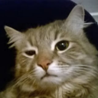 Логотип @pomogaev_totals - Итоги Помогаева