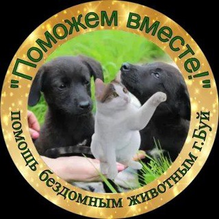 Логотип @pomozhem_vmeste_buy - "Поможем вместе!" помощь бездомным животным г. Буй