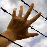 Логотип @pompolitno - НПКК=инфо