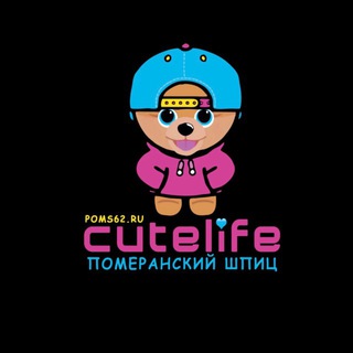 Логотип @poms62ru - Poms62.ru