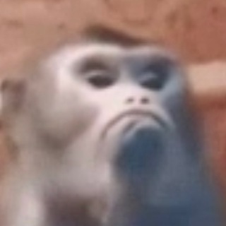 Логотип @pon_652 - Опросы Пон 🐵