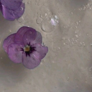 Логотип @pon_pon104 - 💞proofs.qwlinsy11💞