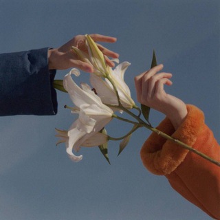 Логотип @ponimaydelay - Понимать и действовать.