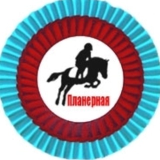 Логотип @ponisportplanernaya - МАУ ДО "СШ "Планерная"
