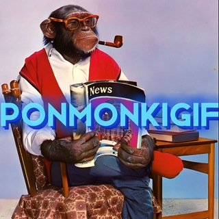 Логотип @ponmakaknipon - Гифки с обезьянками