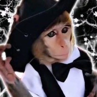 Логотип @ponponfonigifi - Pon 🏞️