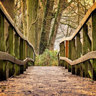 Логотип @pontiumanieventi - Ponti Umani Eventi