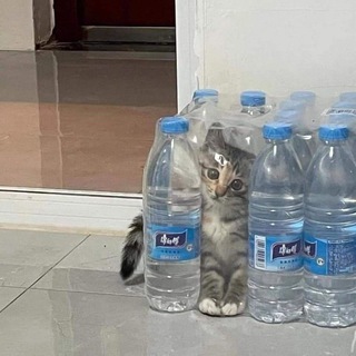 Логотип @ponytown6661 - |>Pony_Town ❦Lover❦<|