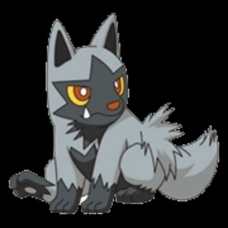 Логотип @poo_chyena - PONV Daily Discussion