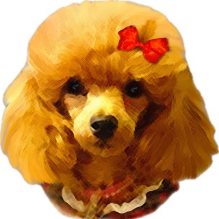 Логотип @poodlehelp1 - ПудельХелп | помощь Пуделям