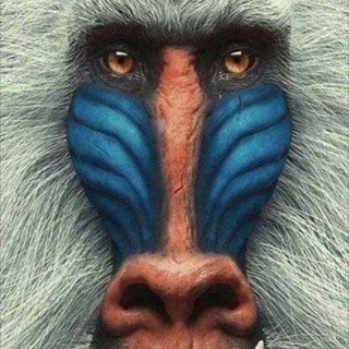 Логотип @popova_me - ПОПОВА pro финансы