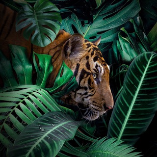 Логотип @poprostoramzemli - По просторам Земли🌎