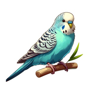 Логотип @popugaitg - Попугаи