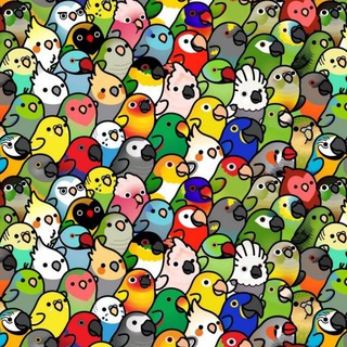 Логотип @popugii - Блядские попуги