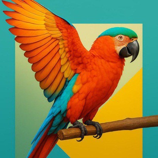 Логотип @popuguys - мемы с попугами