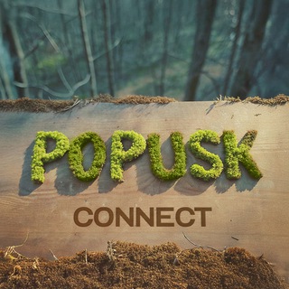 Логотип @popyskalovo - POPUSK 2025: CONNECT