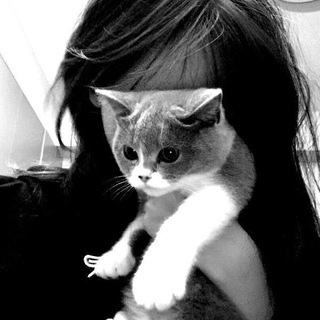 Логотип @pornastro - сучий гороскоп