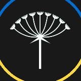 Логотип @pornmememe - .