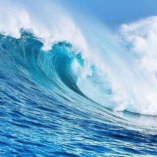 Логотип @port_avrora - "Морской Порт Аврора"🛳🌊