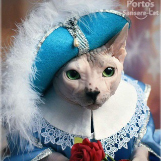 Логотип @portoscat - portos.sansara.cat