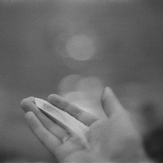 Логотип @portret_vetra - портрет ветра