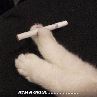 Логотип @pos_ilya_psihio - что я говорю психиатру