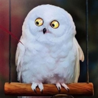 Логотип @posidelkipi - Посиделки с Pi 🐧