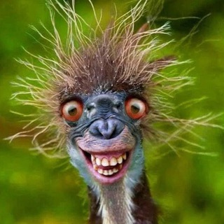 Логотип @positivlifejumpin - Убойные приколы