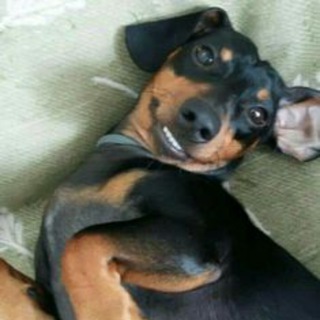 Логотип @positivsumorkom - Позитив с юморком