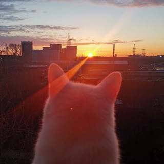 Логотип @postpankm - пост панк/russian doomer music/post punk