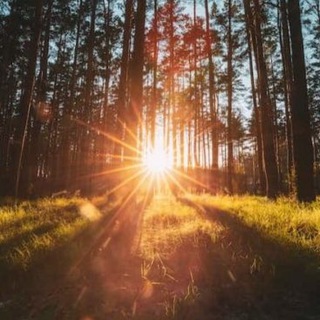 Логотип @potapovo_alfa - ВЕСТИ ПОТАПОВО