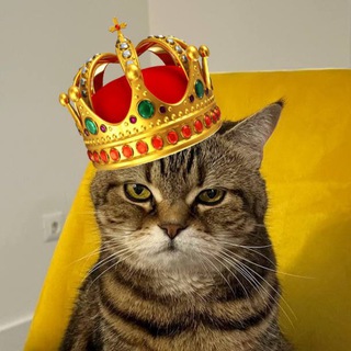 Логотип @potatoandfur - Меховая Картошечка