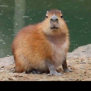 Логотип @potemnelozaoknom - Потемнело за окном