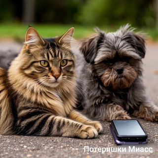 Логотип @poteriashki_miass - Потеряшки Миасс