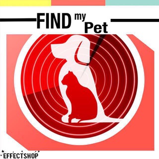 Логотип @poteryashka_khv - ПОТЕРЯШКА_кхв🐾-Хабаровск