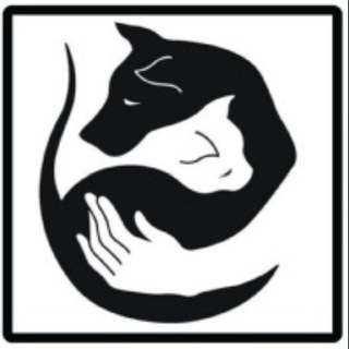 Логотип @poteryashki23 - Потеряшки Краснодар🐶🐱