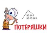 Логотип @poteryashkinewbor - Потеряшки Новой Боровой Chat