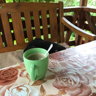 Логотип @potio_arabica - Кофе съ кисой