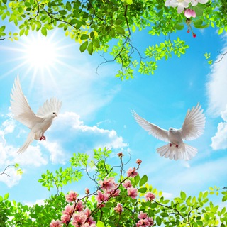 Логотип @potolkipechat - Художественная печать на натяжных потолках