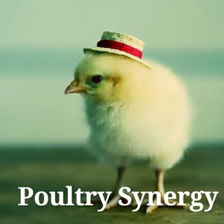 Логотип @poultrysynergy - Poultry Synergy Group