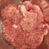 Логотип @pourelleorig - pourelle.orig