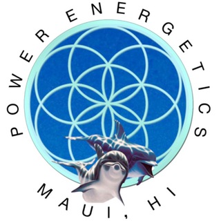 Логотип @powerenergetics - Power Energetics