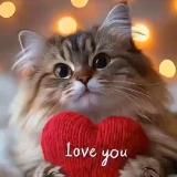 ПОЗДРАВЛЕНИЯ И ПОЖЕЛАНИЯ