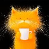 Логотип @pozitiv_psiholog - HomeNest. Позитивная психология.