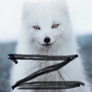 Логотип @pozivnoy_kazman - Позывной «Кацман»