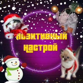 Логотип @poznastroy - Позитивный Настрой