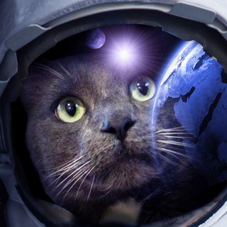 Логотип @poznavatelno_1 - Познаватель