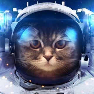 Логотип @poznovatelgroup - Познаватель🌍